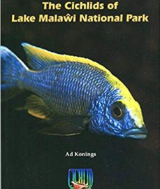 Konings, Ad – The Cichlids of Lake Malawi National Park