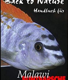 Konings, Ad – Back to Nature. Handbuch für Malawi Buntbarsche