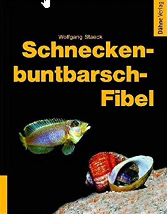 Staeck, Wolfgang – Schneckenbuntbarsch-Fibel
