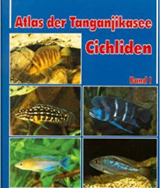 Brichard, Pierre – Atlas der Tanganjikasee Cichliden, Bd. 1