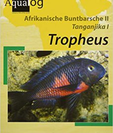 Schupke, Peter – Tropheus (Afrikanische Buntbarsche II; Tanganjika 1)
