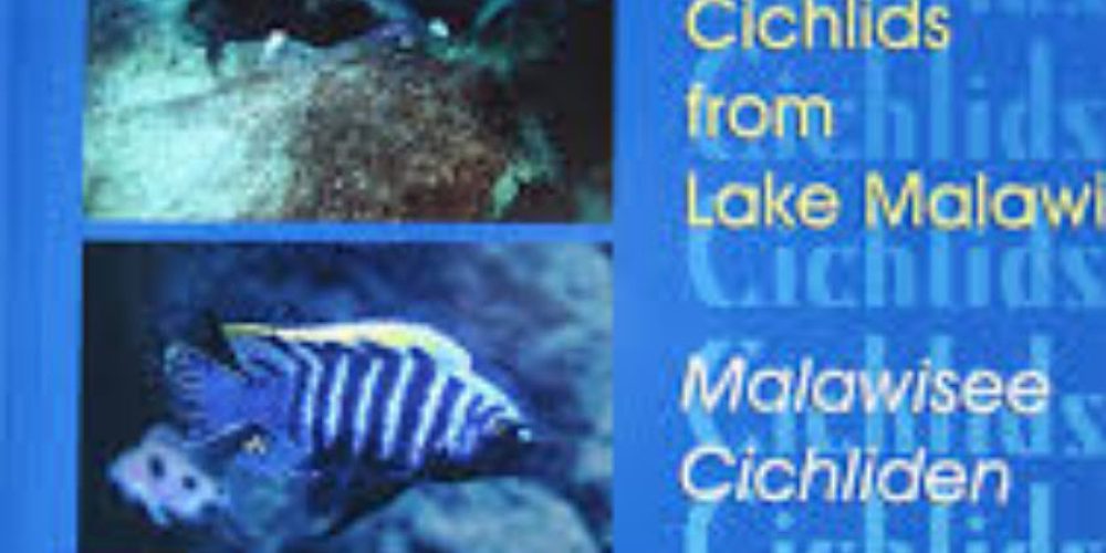 Spreinat, Andreas – AquaLex-Catalog – Malawisee Cichliden