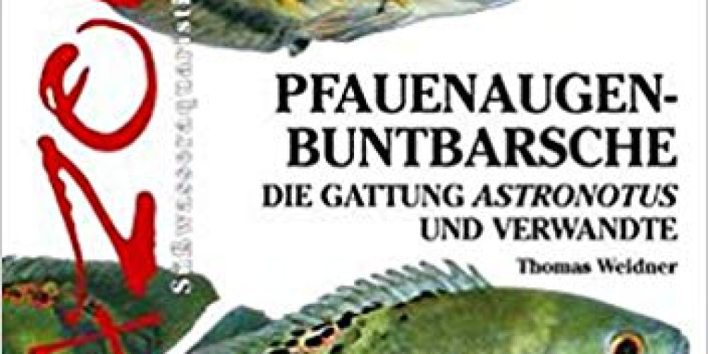 Weidner, Thomas – Pfauenaugen-Buntbarsche: Die Gattung Astronotus