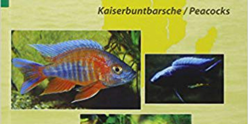 Schraml, Erwin – Aqualog, African Cichlids 3, Malawi 2