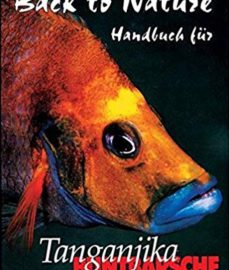 Konings, Ad – Tanganjika Buntbarsche