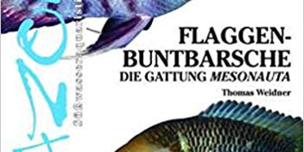 Weidner, Thomas – Flaggenbuntbarsche: Die Gattung Mesonauta