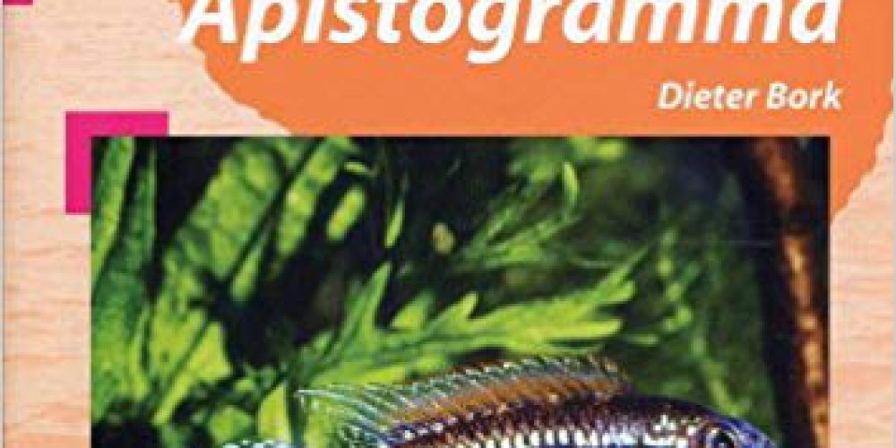 Bork, Dieter – Die neusten/the latest Apistogramma