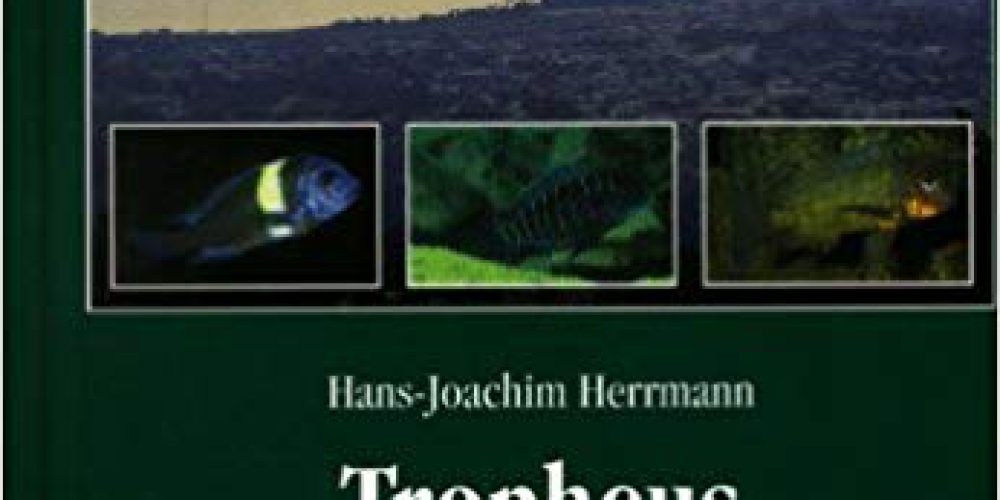 Herrmann, Hans J. – Tropheus: Verbreitung, Arten, Haltung