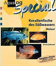 Schraml, Erwin – Aqualog, Korallenfische des Süßwassers – Malawi Cichliden