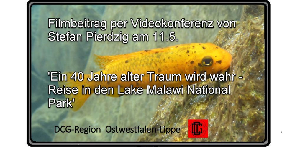 Videokonferenz der DCG-Region OWL am 11.5.21 um 19:30 – Pierdzig, Reise an den Malawisee