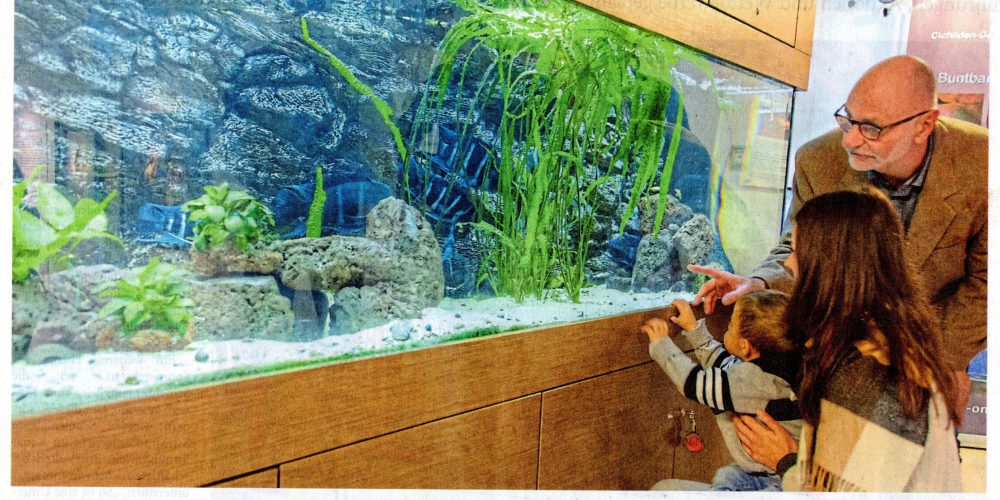 Tag des öffentlichen Aquariums im Lippischen Landesmuseum in Detmold