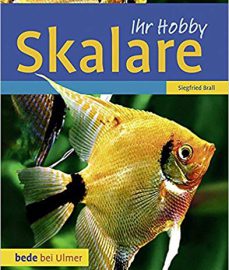 Brall, Siegfried – Skalare